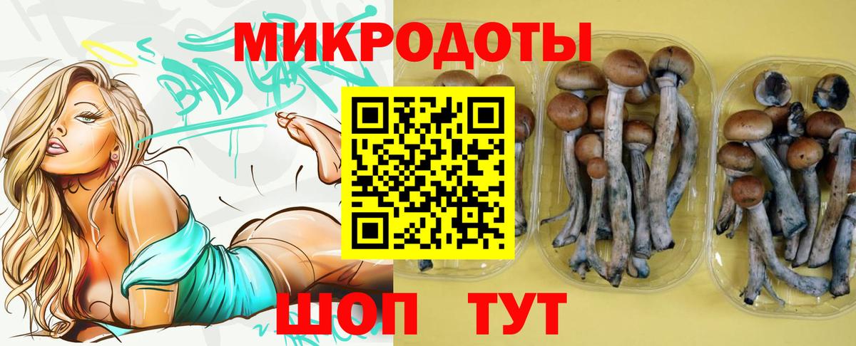 Псилоцибиновые грибы ЛСД Кызыл