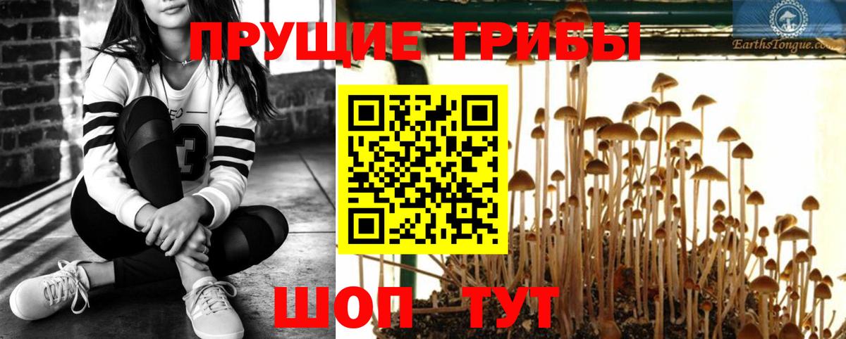 Псилоцибиновые грибы GOLDEN TEACHER  Вход с VPN  Кызыл 