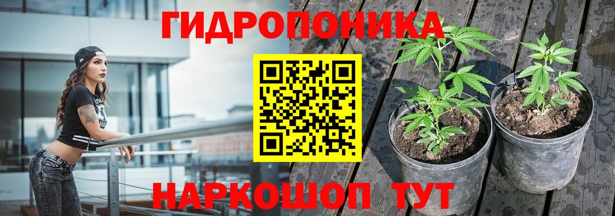 Марихуана Amnesia  МАРИХУАНА VHQ  Марихуана марихуана  Бошки марихуана White Widow  Вход с VPN  Кызыл 